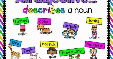 What Are Adjectives And How To Arrange Them In A Sentence?