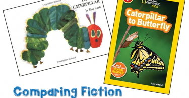 Fiction vs Nonfiction - Difference between Fiction and Nonfiction