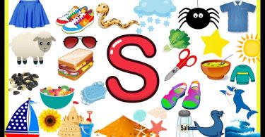 Words That Start With S | 100 Words Start with Letter S