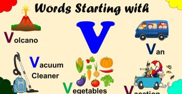 Words That Start With V | 100 Words Start with Letter V
