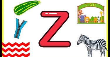 Words That Start With Z | 100 Words Start with Letter Z