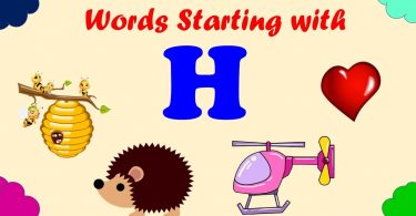 Words That Start With H | 100 Words Start with Letter H