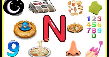 Words That Start With N | 100 Words Start with Letter N