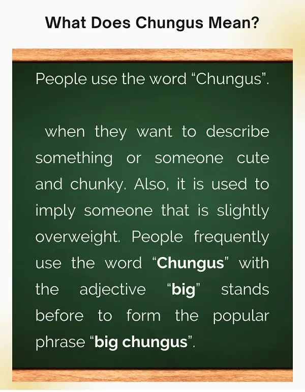 Chungus Meaning - What Does Chungus Mean?