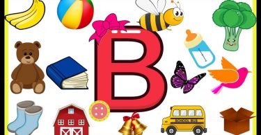 Words That Start With B | 100 Words Start with Letter B