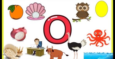 Words That Start With O | 100 Words Start with Letter O