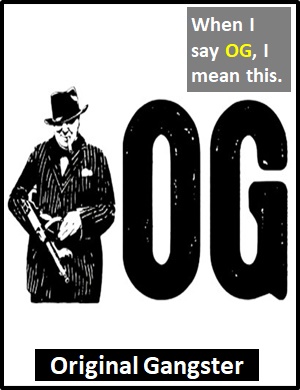 OG Meaning - What does OG mean and stand for?