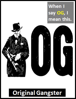 OG Meaning What does OG mean and stand for 