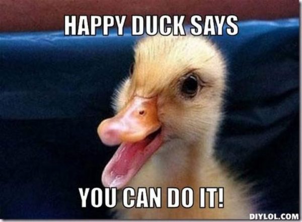 36 - Happy duck says - You can do it meme!